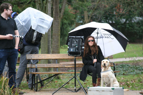 Mariah Nonnemacher Guide Dog shoot